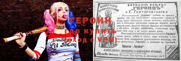 сатива Новодвинск